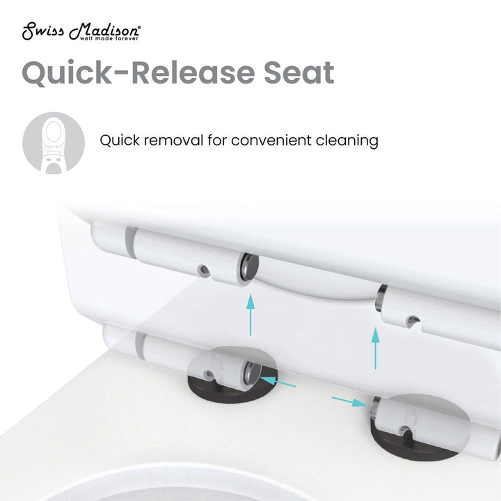 Chateau One Piece Elongated Toilet Dual Flush, Black Hardware 1.1/1.6 gpf