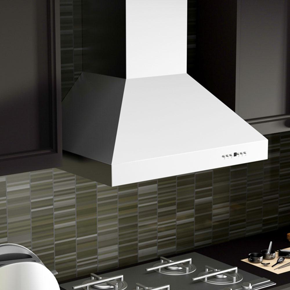 Outdoor Wall Mount Range Hood in Stainless Steel (667-304-48)  ZLINE 48 in.