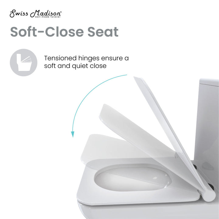 Concorde One Piece Square Toilet Dual Flush, Black Hardware 1.1/1.6 gpf