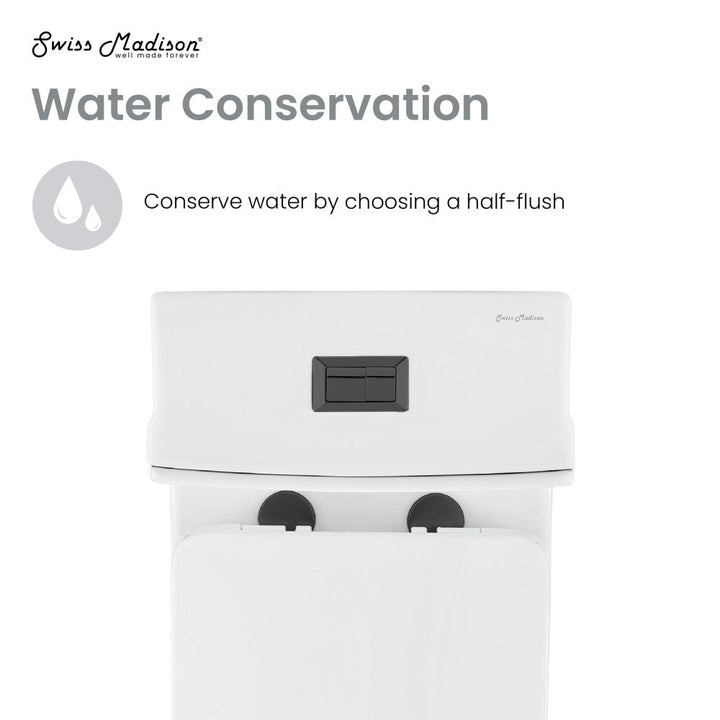 Concorde One Piece Square Toilet Dual Flush, Black Hardware 1.1/1.6 gpf