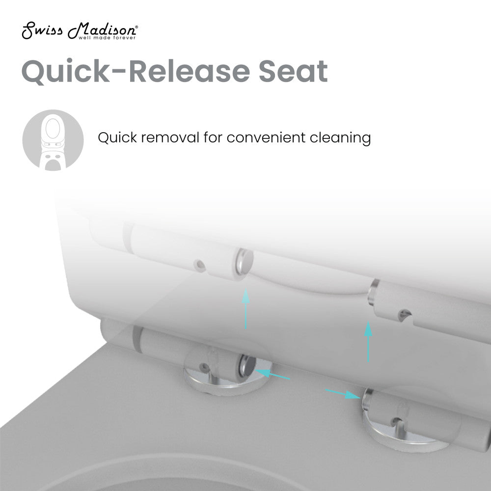 Concorde One Piece Square Toilet Dual Flush in Matte Grey 1.1/1.6 gpf