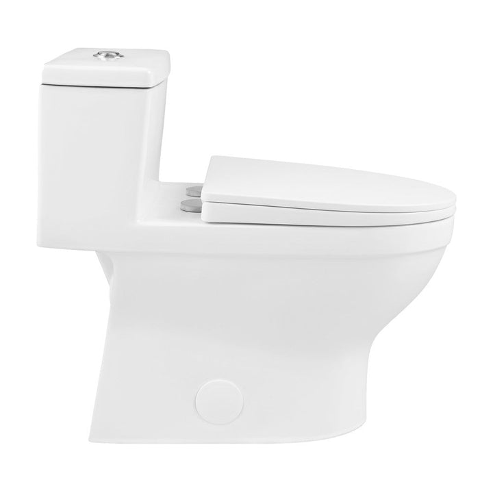 Clichy One-Piece Elongated Toilet Dual-Flush 1.1/1.6 gpf