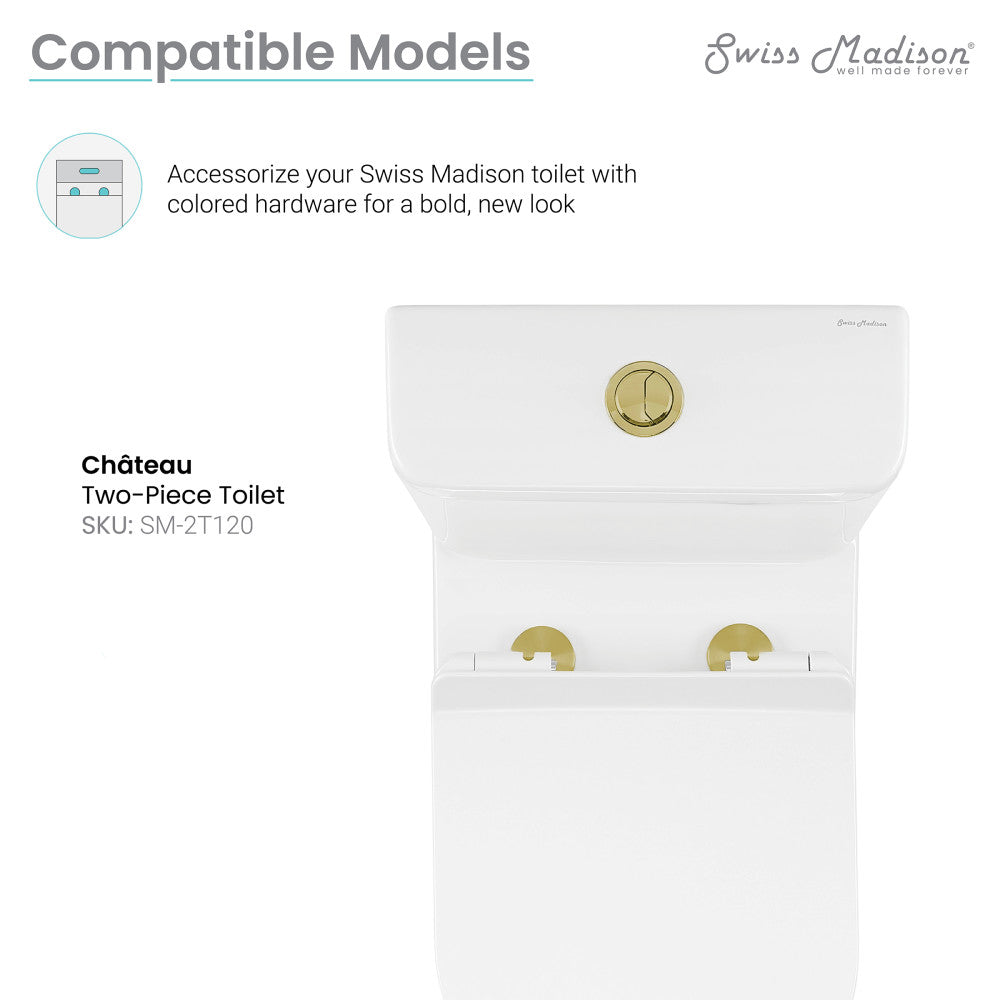Toilet Hardware Brushed Gold (SM-2T120)