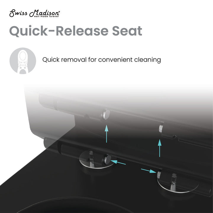 Sublime II One-Piece Round Toilet Dual-Flush 1.1/1.6 gpf in Matte Black