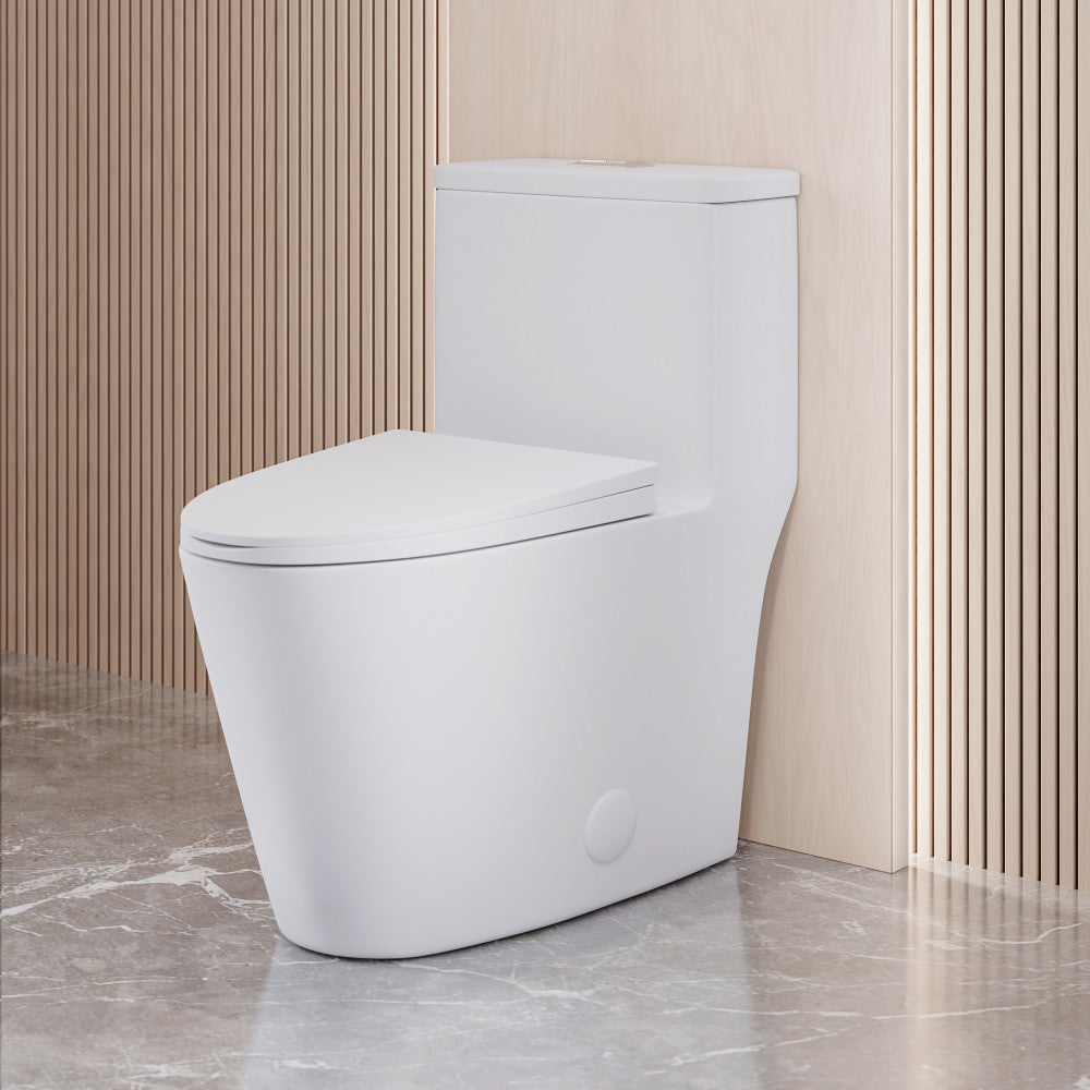 Dreux One Piece Elongated Dual Flush Toilet with 0.95/1.26 GPF