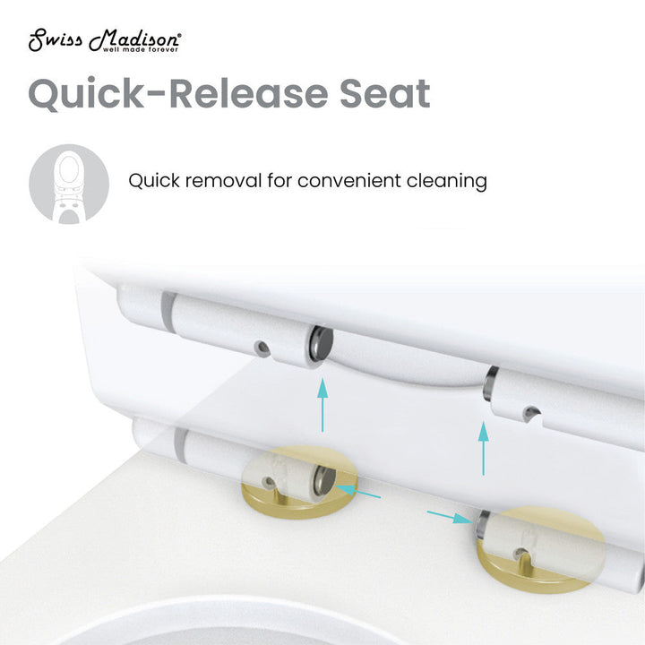 Chateau One Piece Elongated Toilet Dual Flush, Brushed Gold Hardware 1.1/1.6 gpf