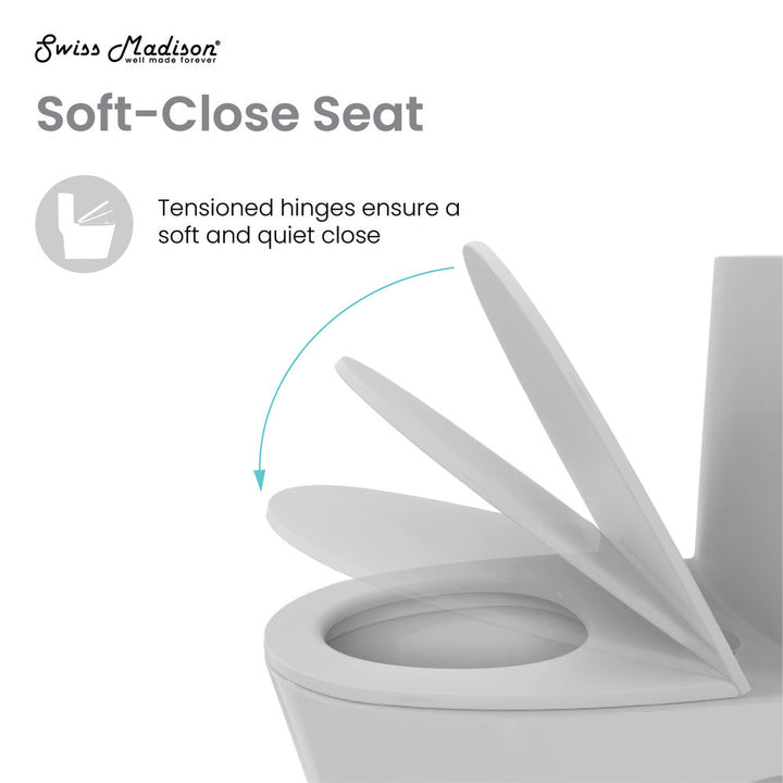 Dreux One Piece Elongated Dual Flush Toilet in Matte Grey 0.95/1.26 GPF