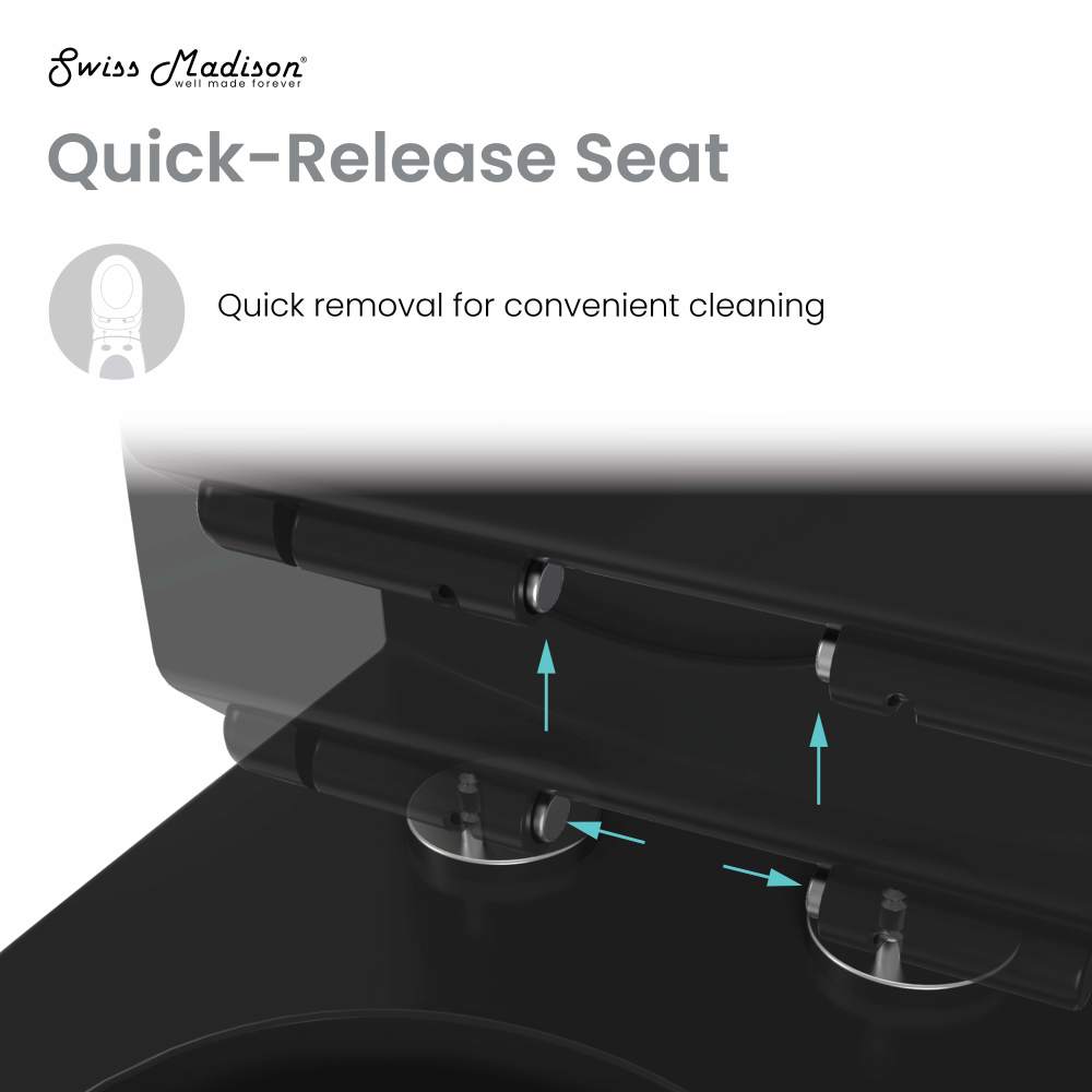 Ivy One Piece Toilet Dual Vortex Flush in Glossy Black 1.1/1.6 gpf