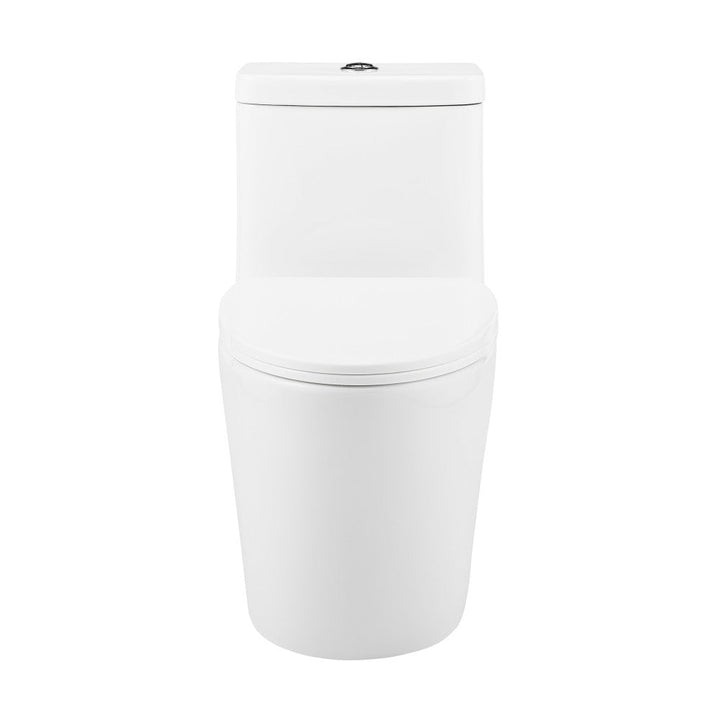 Fulton One-Piece Elongated Toilet Dual-Flush 1.1/1.6 gpf