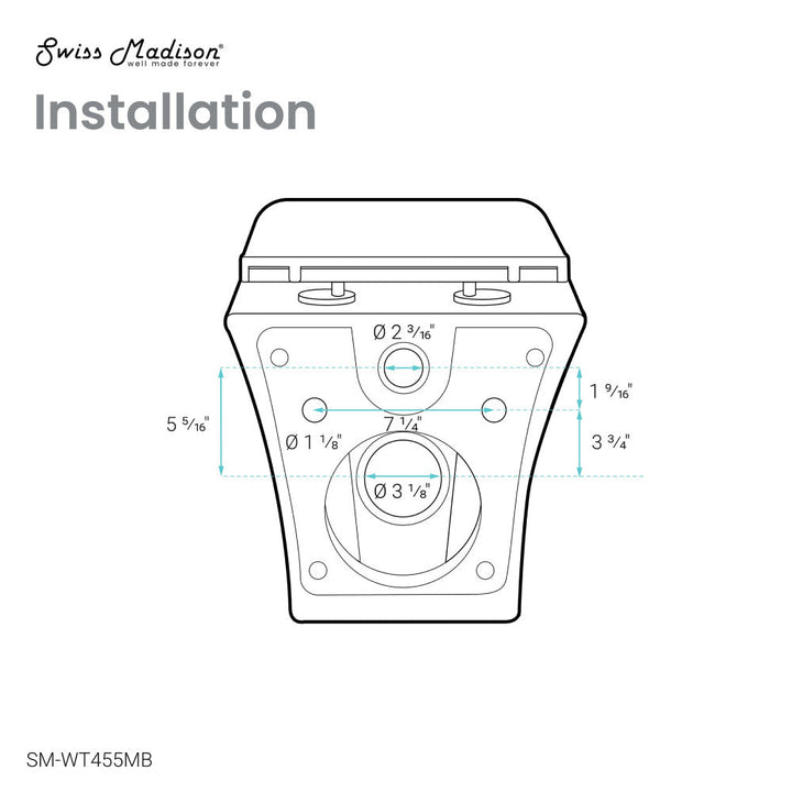 Carre Wall-Hung Elongated Toilet Bowl in Matte Black