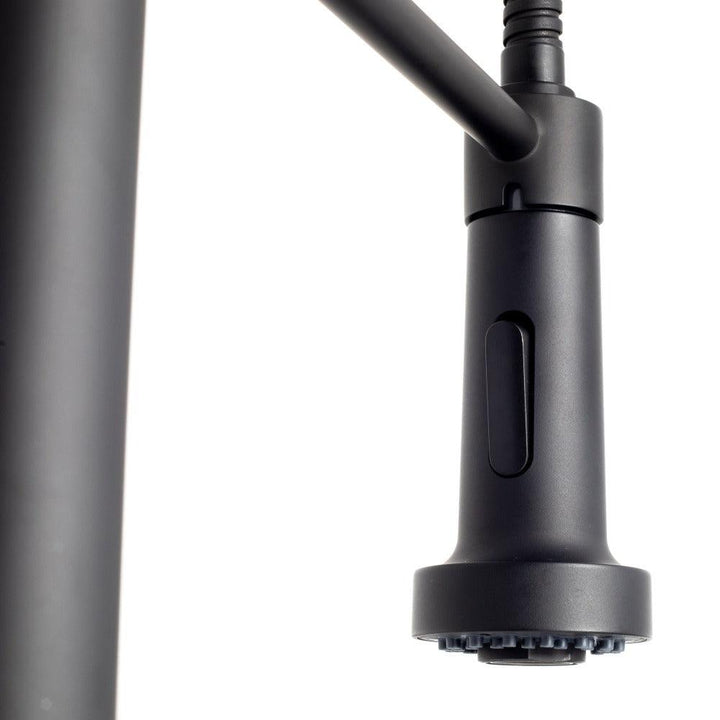 ZLINE Autograph Edition Apollo Pull Down Spring Single Handle Kitchen Faucet in Matte Black (APL-KF-MB)