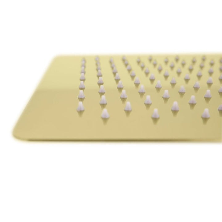 ZLINE Autograph Edition Bliss 12 in. Rainfall Shower Head in Polished Gold (BLS-H12-PG)