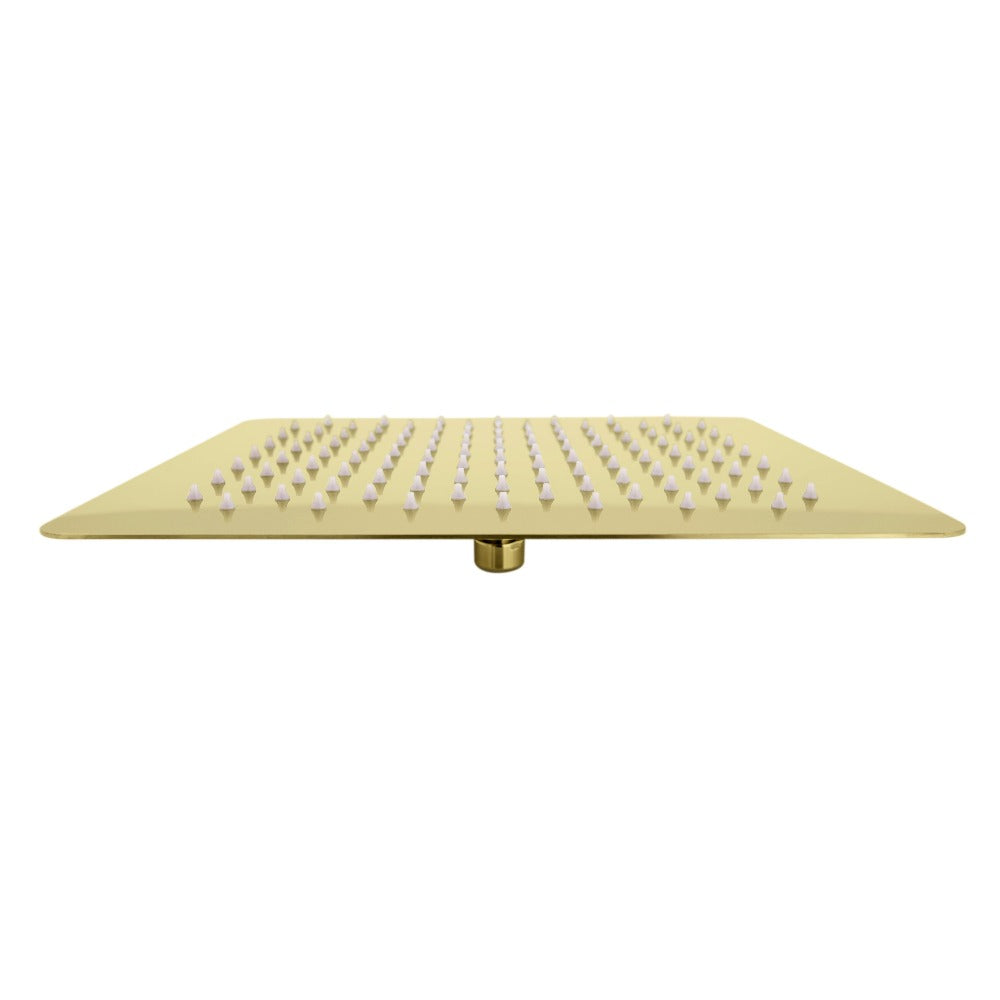 ZLINE Autograph Edition Bliss 8 in. Rainfall Shower Head in Polished Gold (BLS-H8-PG)