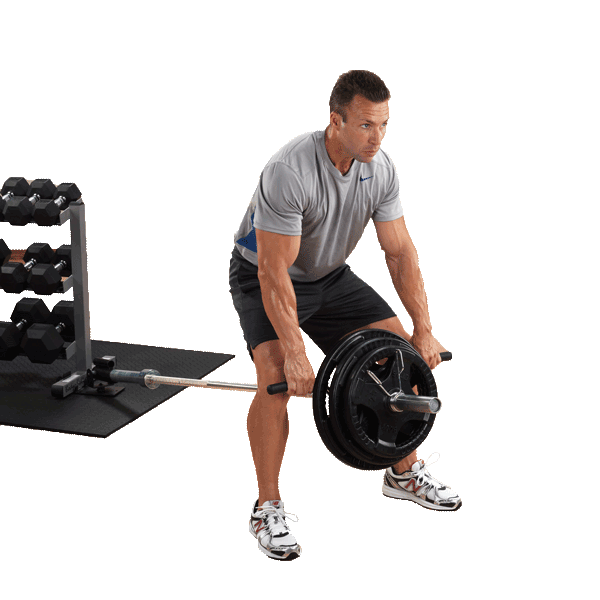 Body Solid TBR10 T-Bar Row Platform