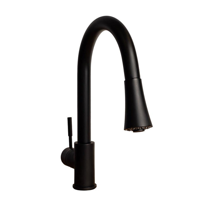 ZLINE Autograph Edition Edison Pull Down Single Handle Kitchen Faucet in Matte Black (EDS-KF-MB)