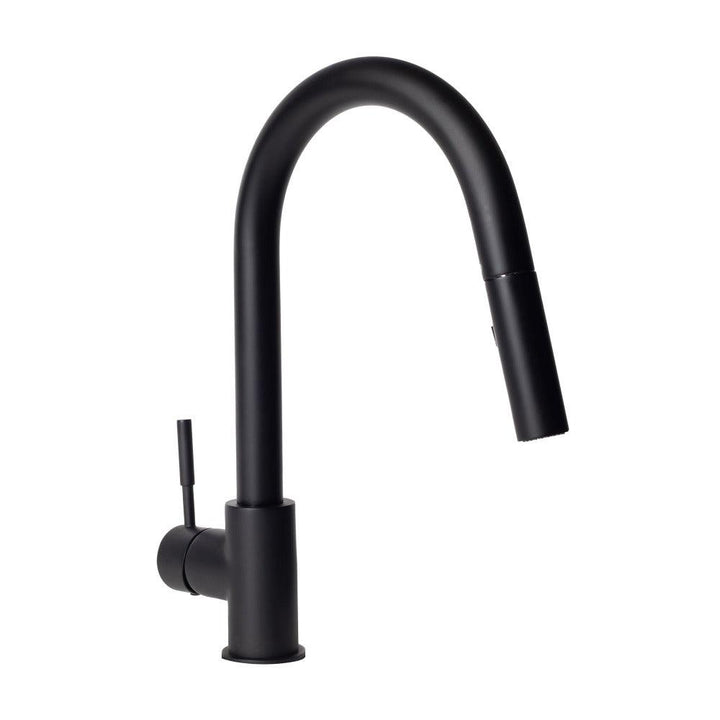 ZLINE Autograph Edition Gemini Pull Down Single Handle Kitchen Faucet in Matte Black (GEM-KF-MB)