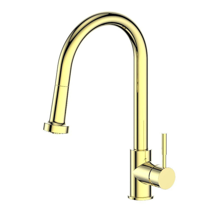 ZLINE Autograph Edition Monet Pull Down Single Handle Kitchen Faucet in Polished Gold (MON-KF-PG)