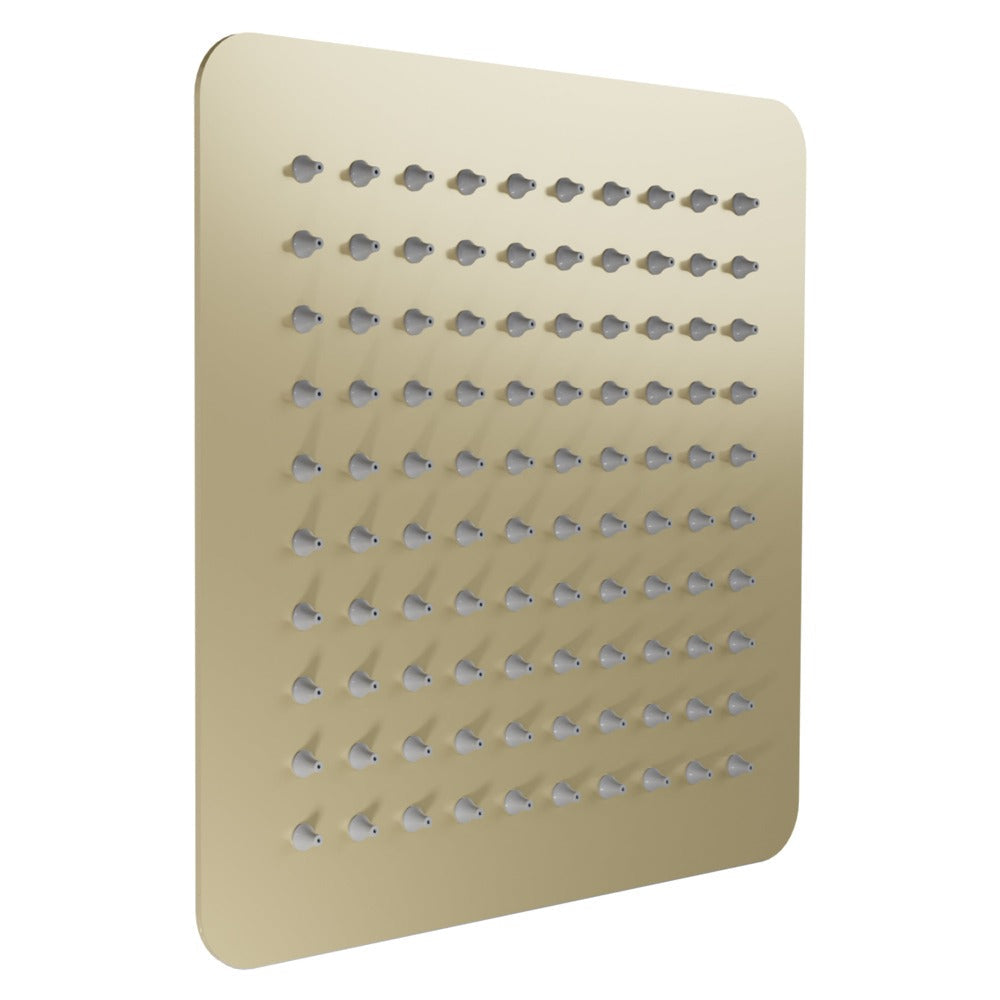 ZLINE Autograph Edition Bliss 12 in. Rainfall Shower Head in Champagne Bronze (BLS-H12-CB)