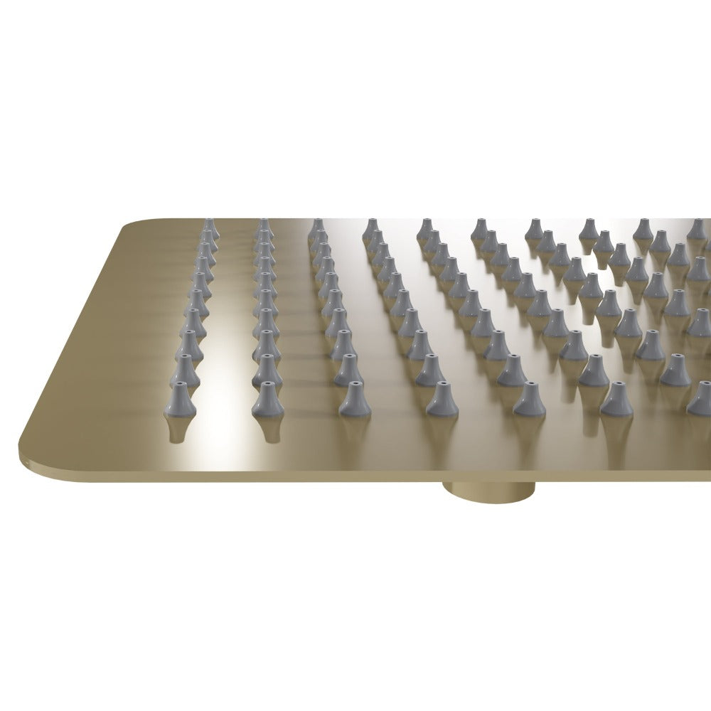ZLINE Autograph Edition Bliss 8 in. Rainfall Shower Head in Champagne Bronze (BLS-H8-CB)