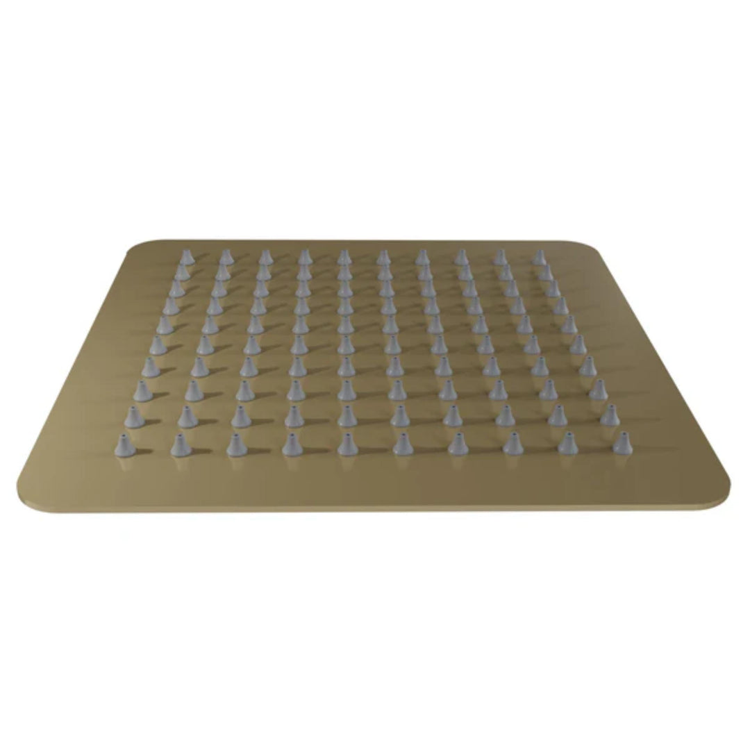 ZLINE Bliss 8-Inch Rainfall Shower Head in Champagne Bronze