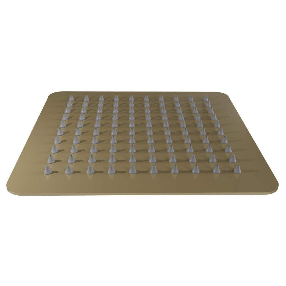 ZLINE Autograph Edition Bliss 8 in. Rainfall Shower Head in Champagne Bronze (BLS-H8-CB)