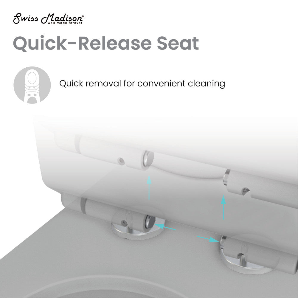 Carre One-Piece Square Toilet Dual-Flush in Matte Grey1.1/1.6 gpf