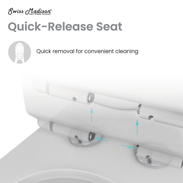 St. Tropez One-Piece Elongated Toilet Vortex™ Dual-Flush 1.1/1.6 gpf in Matte Grey