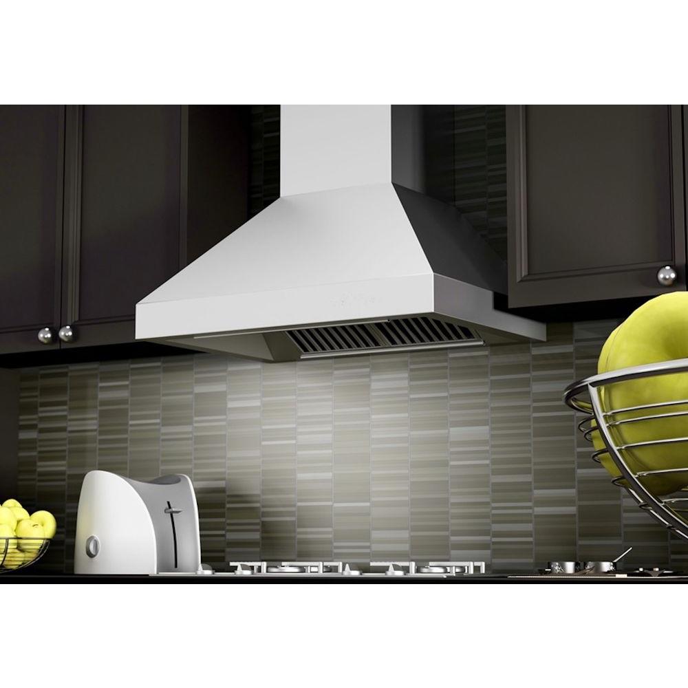 ZLINE 30” Outdoor Wall Mount Range Hood Stainless Steel LED Lighting