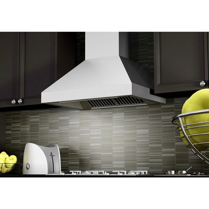 ZLINE 30” Outdoor Wall Mount Range Hood Stainless Steel LED Lighting