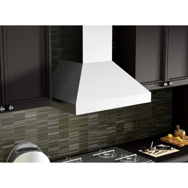 Remote Blower Wall Mount Range Hood in Stainless Steel (597-RD-48)  ZLINE 48 in.