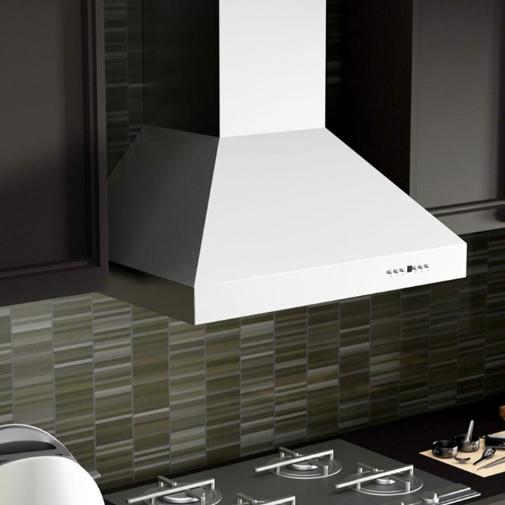 Wall Mount Range Hood in Stainless Steel (667-42)  ZLINE 42 in.