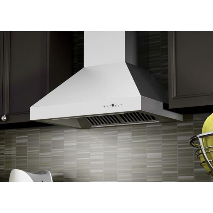 Professional Wall Mount Range Hood in Stainless Steel (697-48)  ZLINE 48 in.