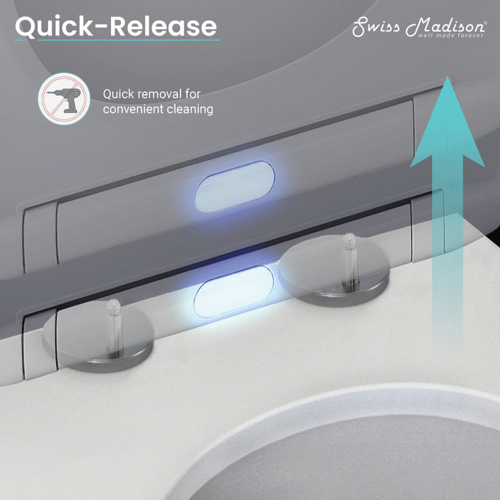 Lumiere Elongated Quick-Release Toilet Seat with Night Light