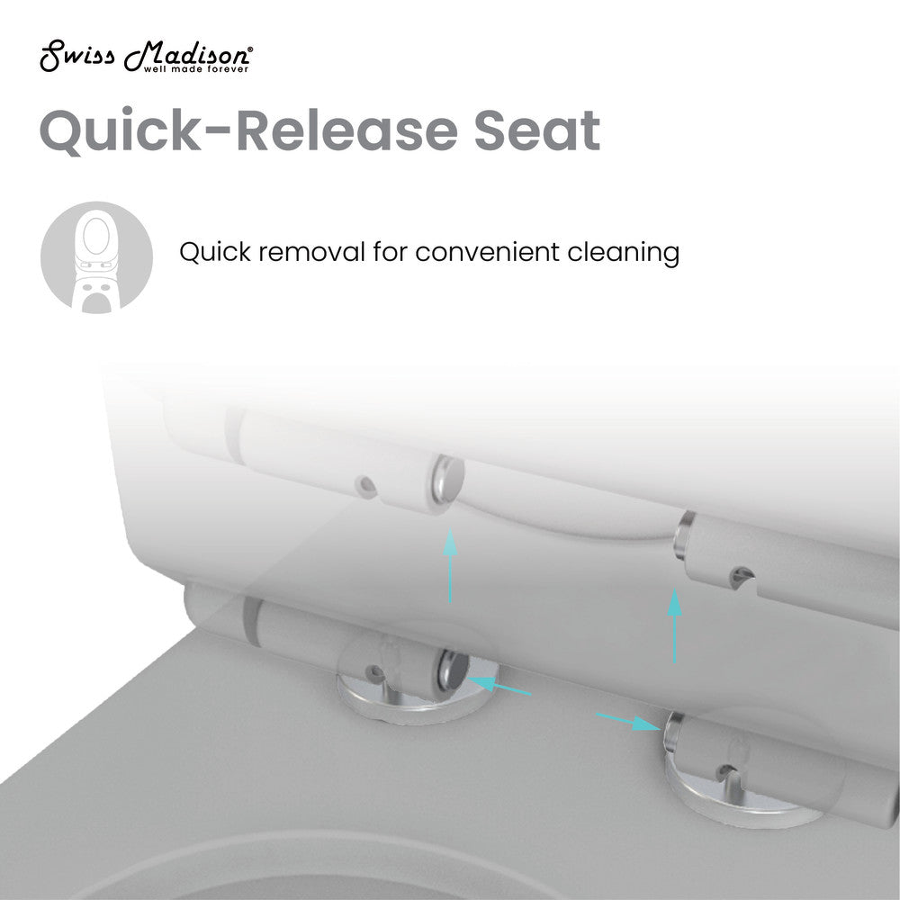 Dreux One Piece Elongated Dual Flush Toilet in Matte Grey 0.95/1.26 GPF