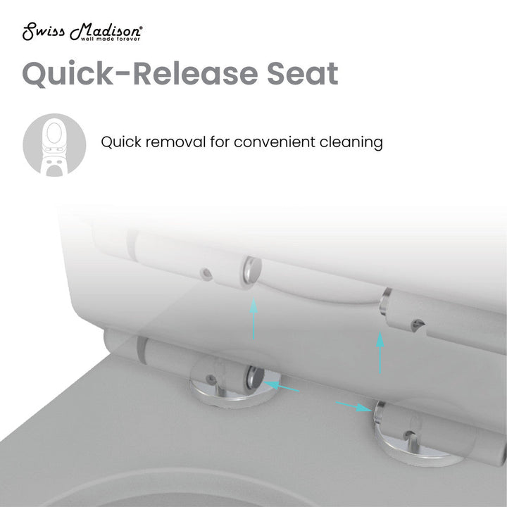 Dreux One Piece Elongated Dual Flush Toilet in Matte Grey 0.95/1.26 GPF