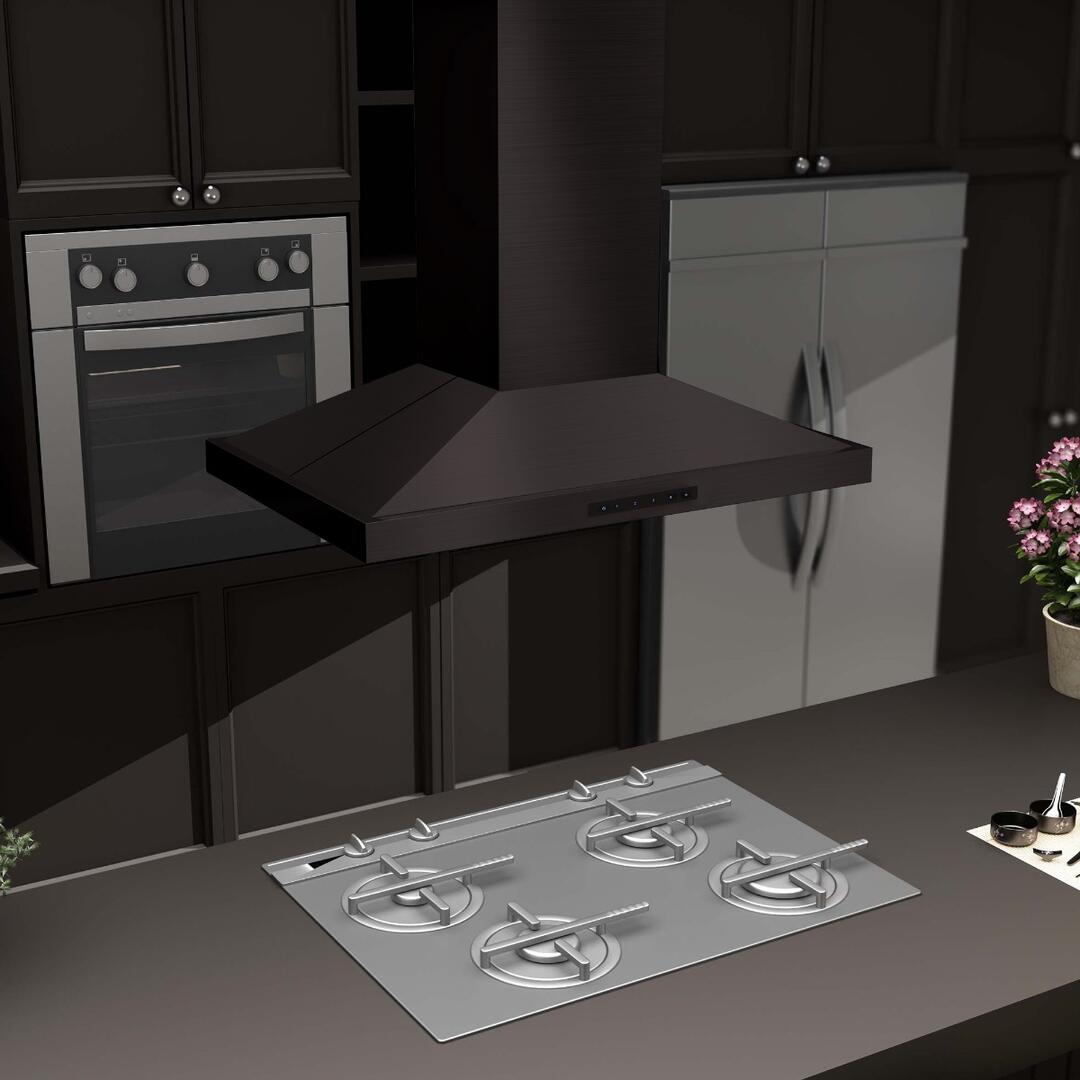 Island Mount Range Hood in Black Stainless Steel (BSGL2iN-48)  ZLINE 48 in.