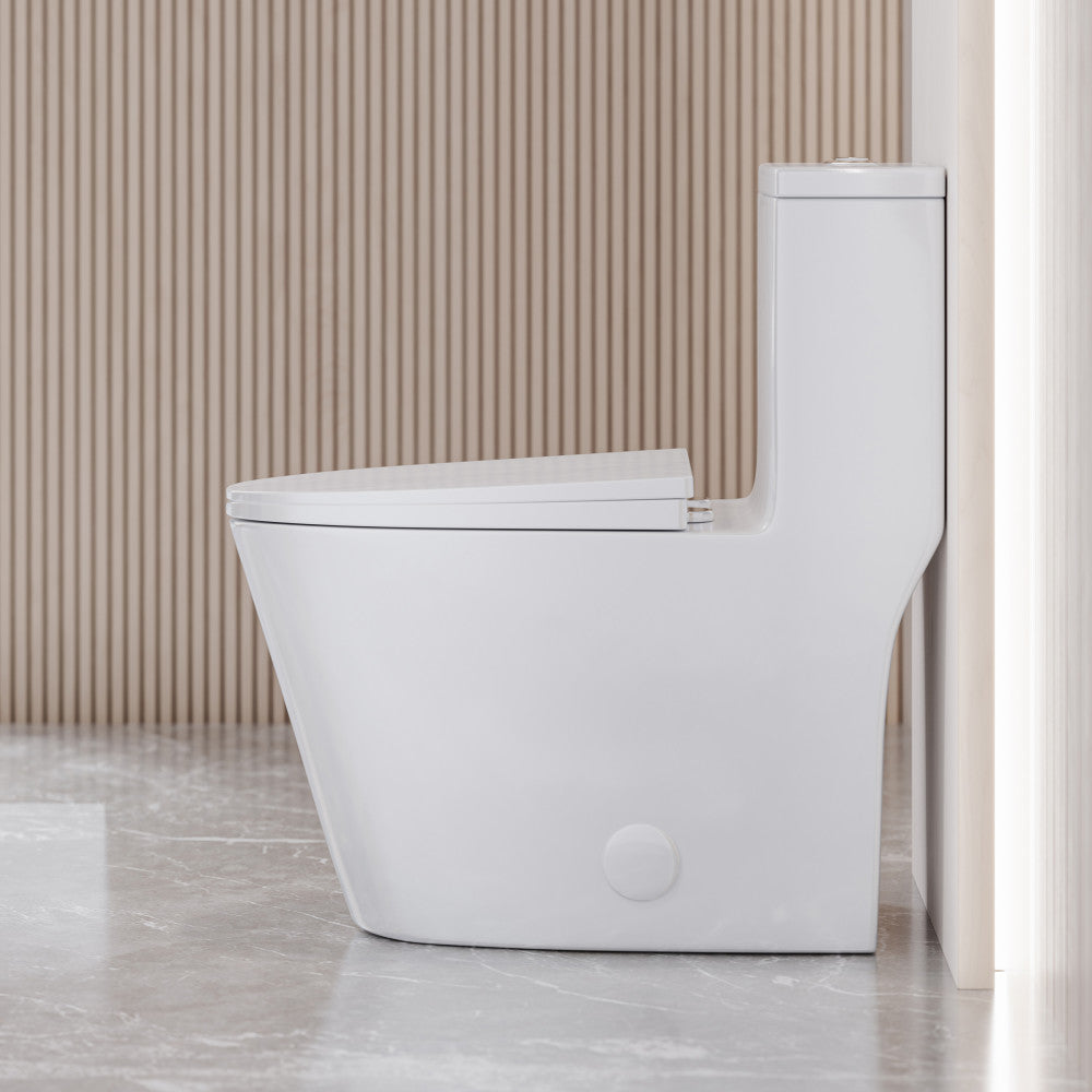 Dreux One Piece Elongated Dual Flush Toilet with 0.95/1.26 GPF