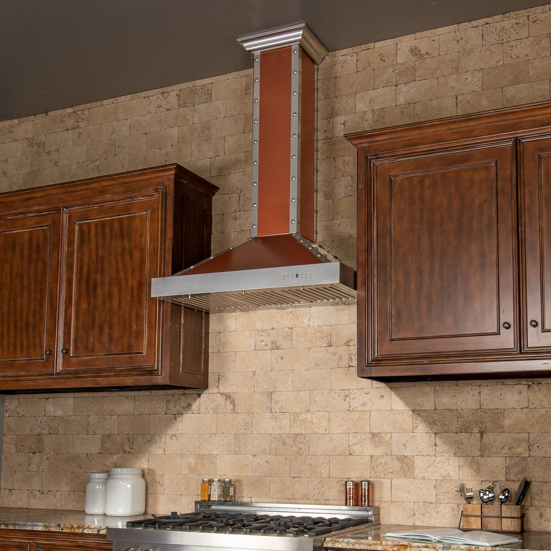 ZLINE 30” Designer Series Wall Mount Range Hood Built-in LED Lighting