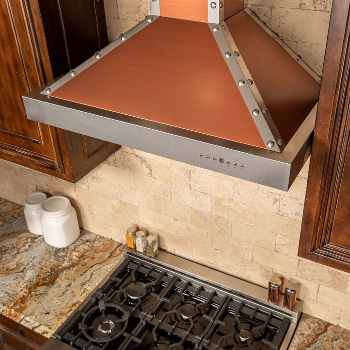 ZLINE 30” Designer Series Wall Mount Range Hood Built-in LED Lighting