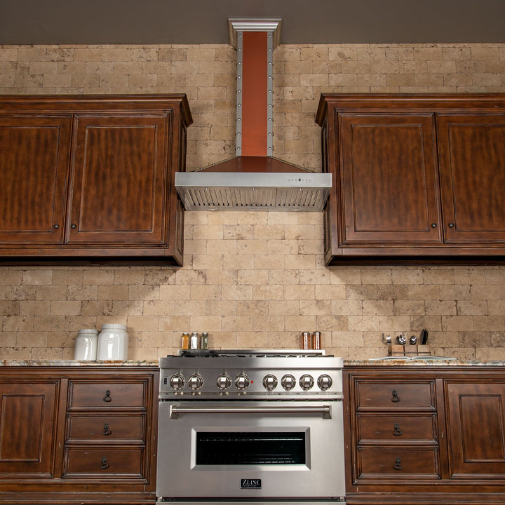 ZLINE 30” Designer Series Wall Mount Range Hood Built-in LED Lighting