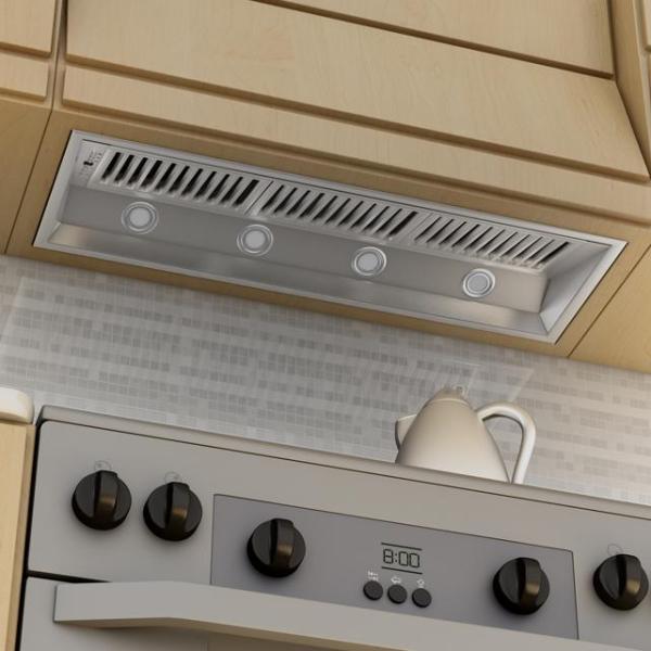 Outdoor Range Hood Insert in Stainless Steel (695-304-46)  ZLINE 46 in.