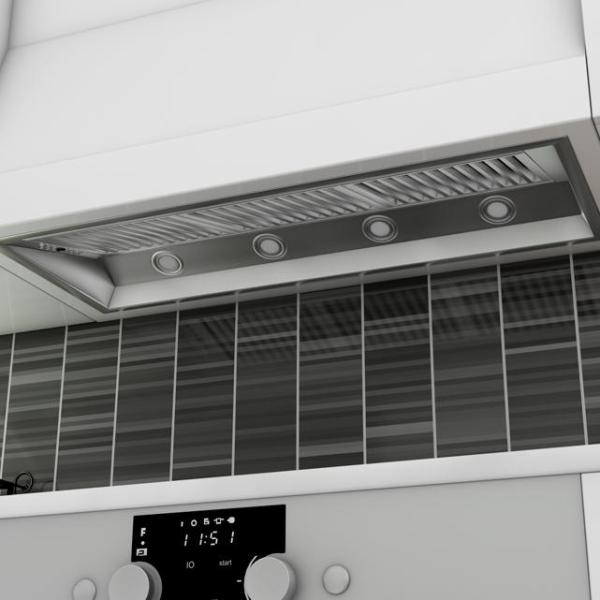 Outdoor Range Hood Insert in Stainless Steel (698-304-46)  ZLINE 46 in.