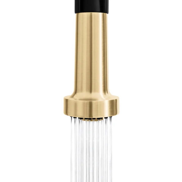 ZLINE Autograph Edition Apollo Pull-Down Kitchen Faucet in Matte Black &amp; Champagne Bronze