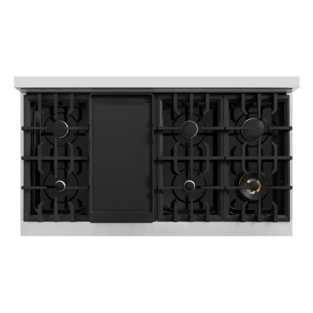 ZLINE Classic Gas Range with Convection Gas Oven in Stainless Steel with Brass Burners