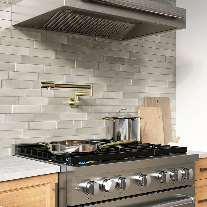 ZLINE 36 in. 5.2 cu. ft. Paramount Gas Range with 6 Burner DuoPro™ Cooktop and Convection Gas Oven in Stainless Steel (PSGR36)