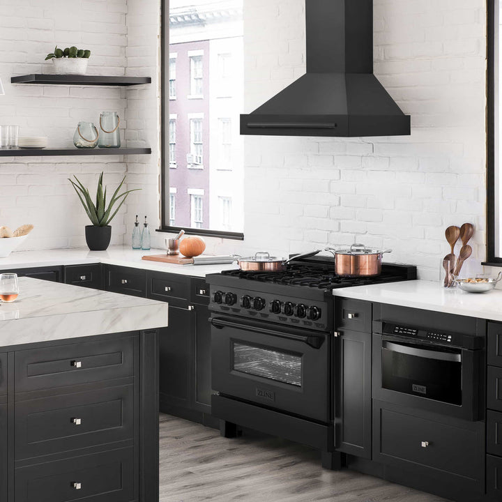 ZLINE 30” 400 CFM Black Stainless Steel Wall Mounted Range Hood