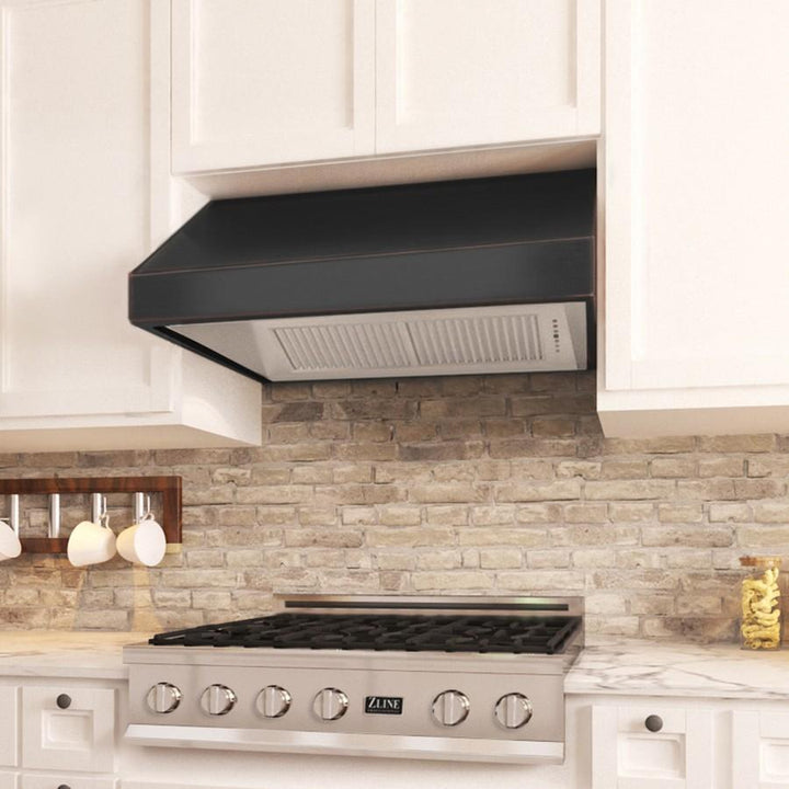 ZLINE 30 in. Designer Series Convertible Vent Under Cabinet Range Hood (8685B-30)