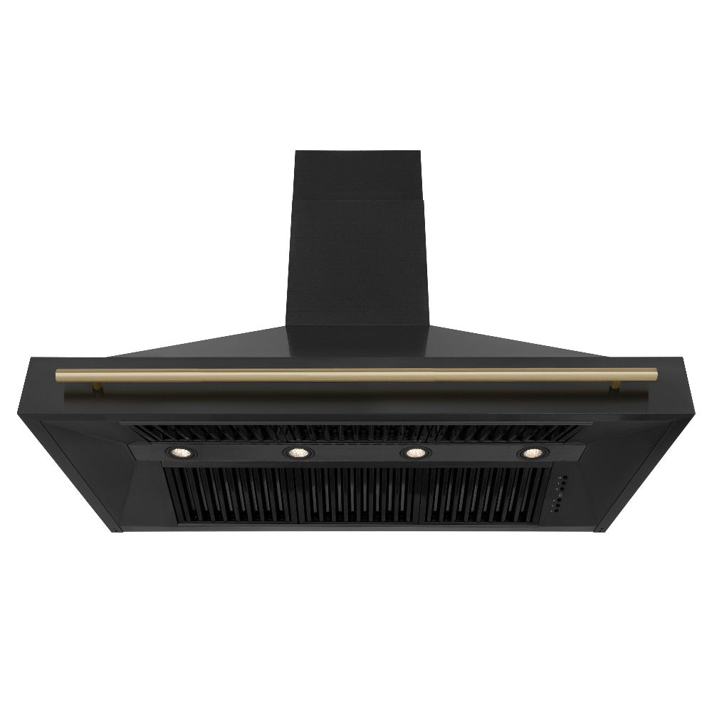 ZLINE Autograph Edition 48 in. Kitchen Package with Black Stainless Steel Dual Fuel Range, Range Hood, Dishwasher and Refrigerator with Champagne Bronze Accents (4AKPR-RABRHDWV48-CB)