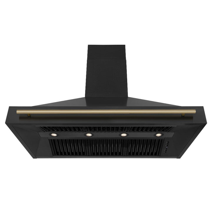 ZLINE Autograph Edition 48 in. Kitchen Package with Black Stainless Steel Dual Fuel Range, Range Hood, Dishwasher and Refrigerator with Champagne Bronze Accents (4AKPR-RABRHDWV48-CB)