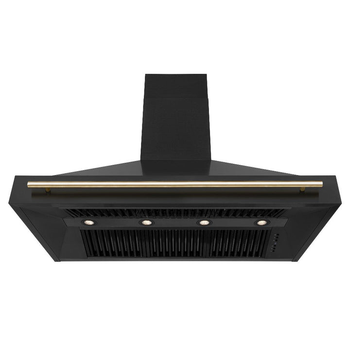 ZLINE Autograph Edition 48 in. Kitchen Package with Black Stainless Steel Dual Fuel Range, Range Hood, Dishwasher and Refrigerator Including External Water Dispenser with Polished Gold Accents (4AKPR-RABRHDWV48-G)